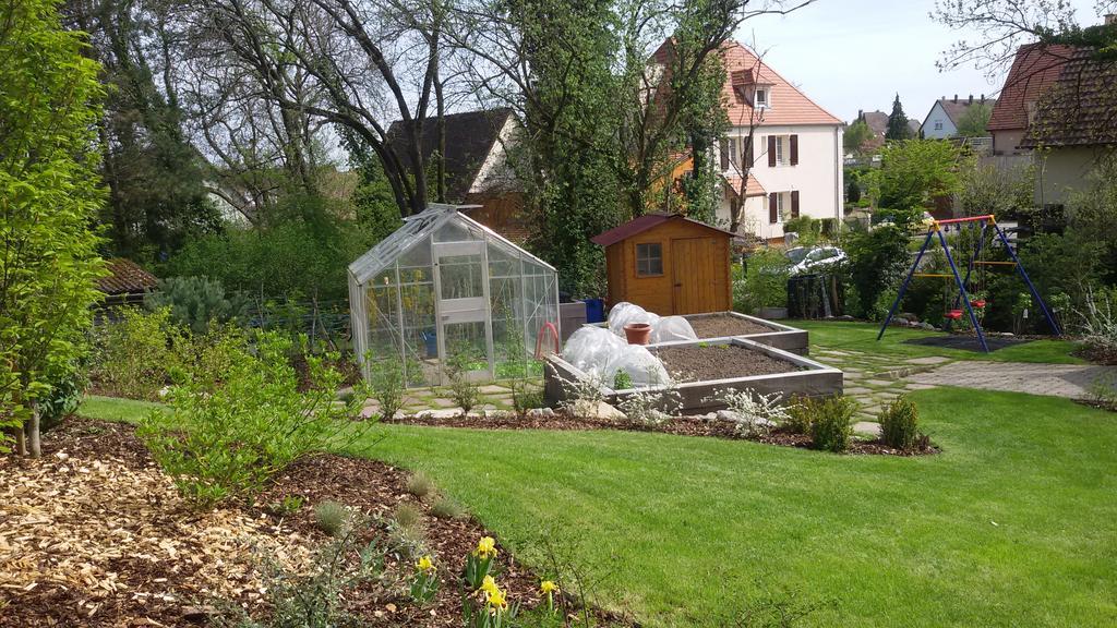 Gite Des Merles Mittelwihr Zewnętrze zdjęcie