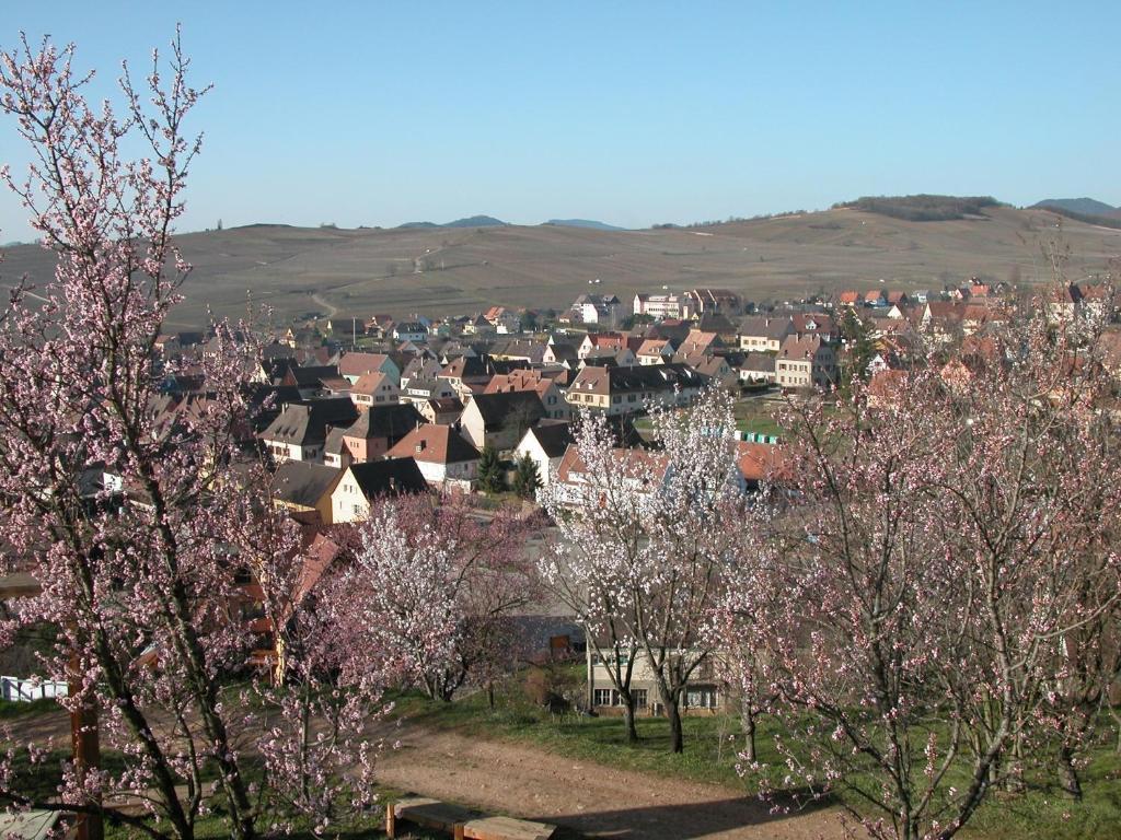 Gite Des Merles Mittelwihr Zewnętrze zdjęcie